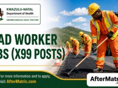 fbd3e88d ec59 475d b9cc 475862440f36 Gov Jobs Portal South Africa